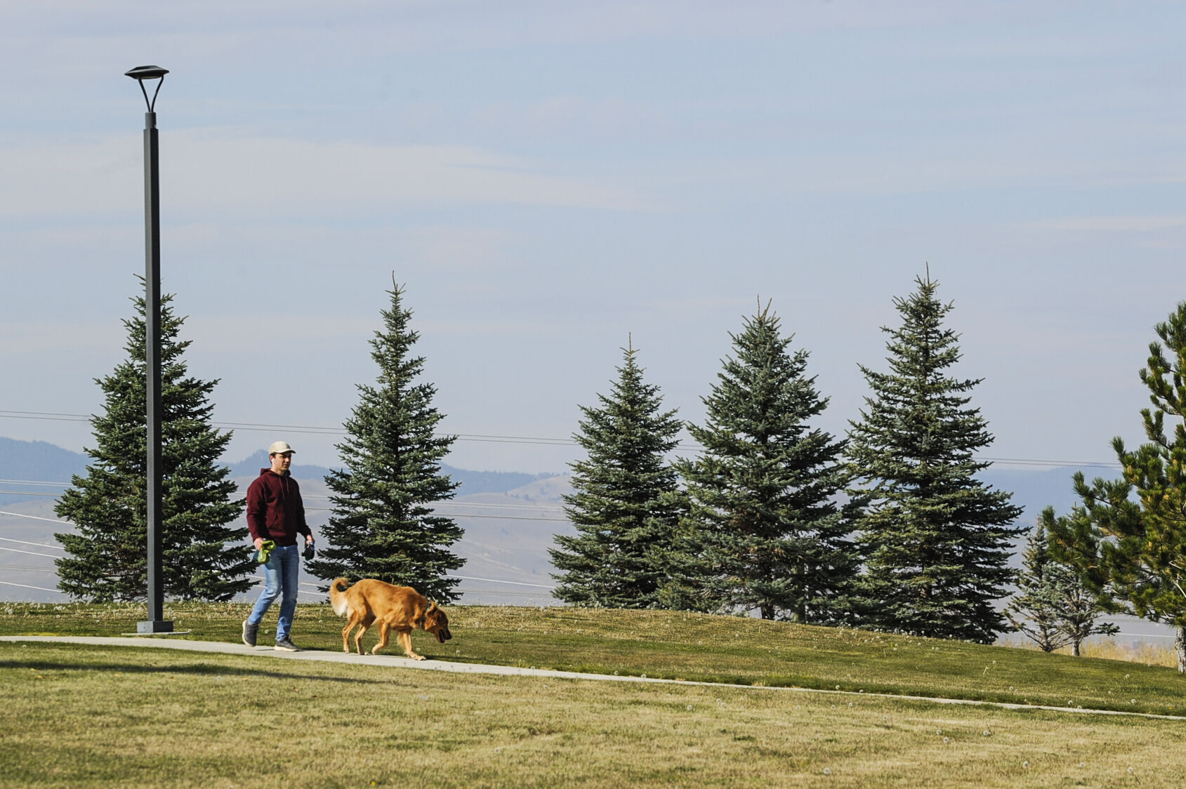 A resident walks his dog in a public park